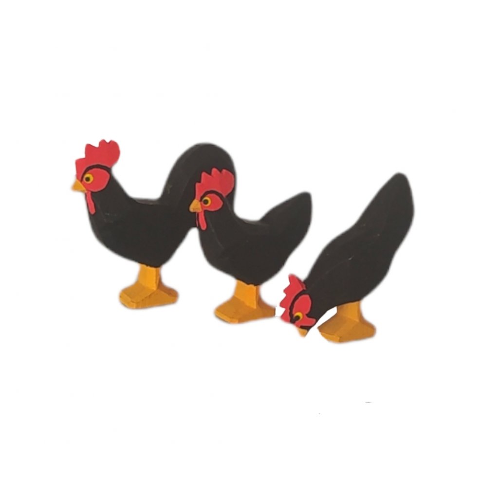 Hühnergruppe schwarz