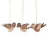 Behang Vögel natur (6 Stück)