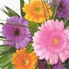 Servietten Motiv Blumengrüße