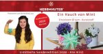 Herrnhuter Stern Kunststoff 13cm mint | Sonderedition 2020 Flyer Sternenkind