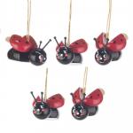 6403-Behang-Marienkäfer-WEB1000x1000 Behang Marienkäfer mit lustigen Gesichtern