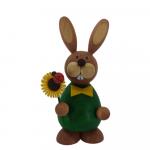 Osterhase stehend mit Sonnenblume