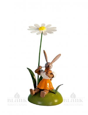 Blank Osterhase sitzend mit Margerite und Violine