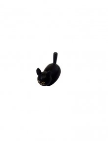 Katze, schwarz