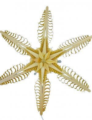 Baumbehang - Doppelspanstern, natur, elek