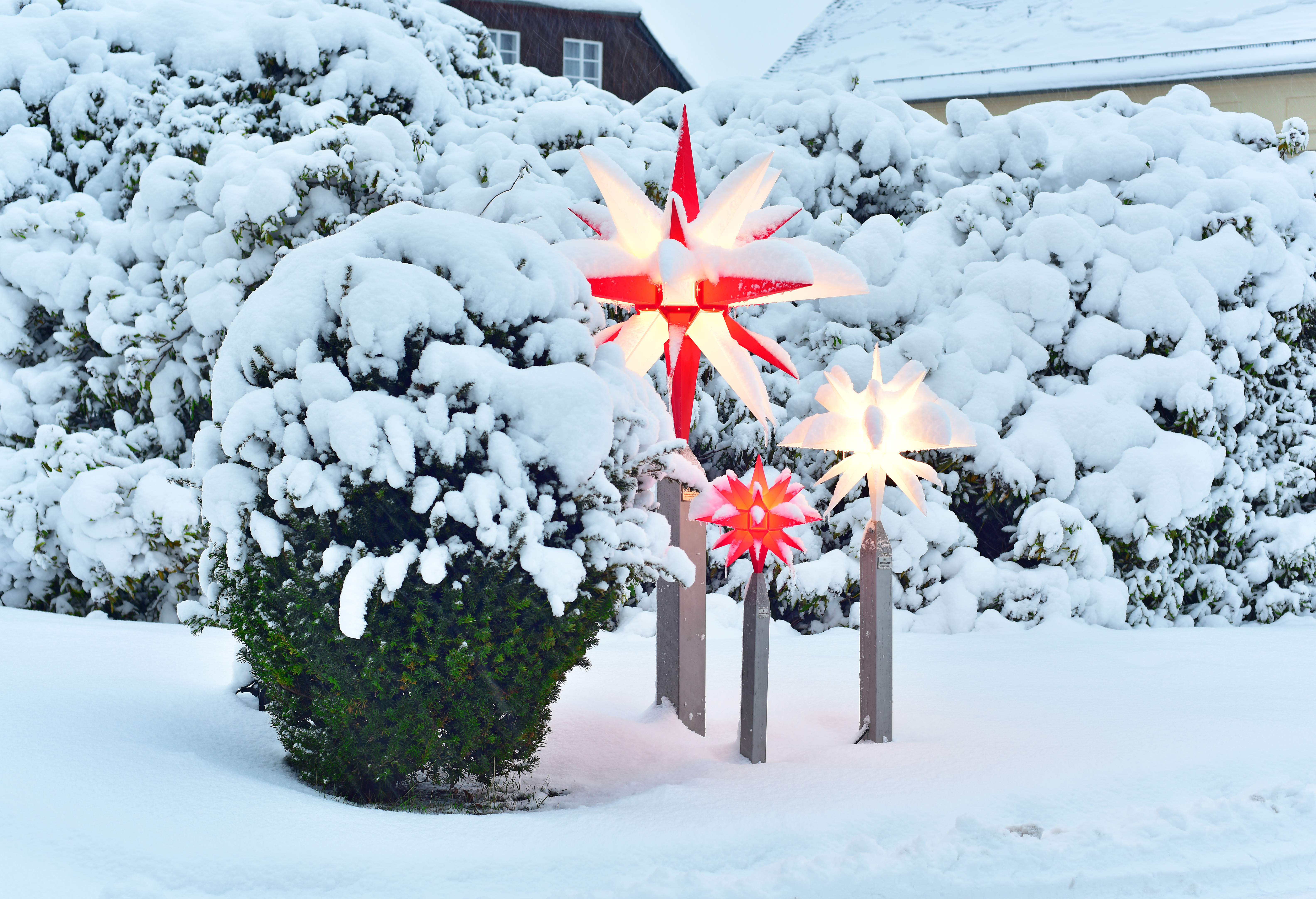 herrnhut-winter-0050