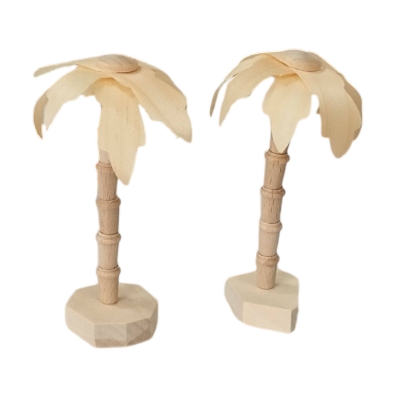 Palmen Set Natur