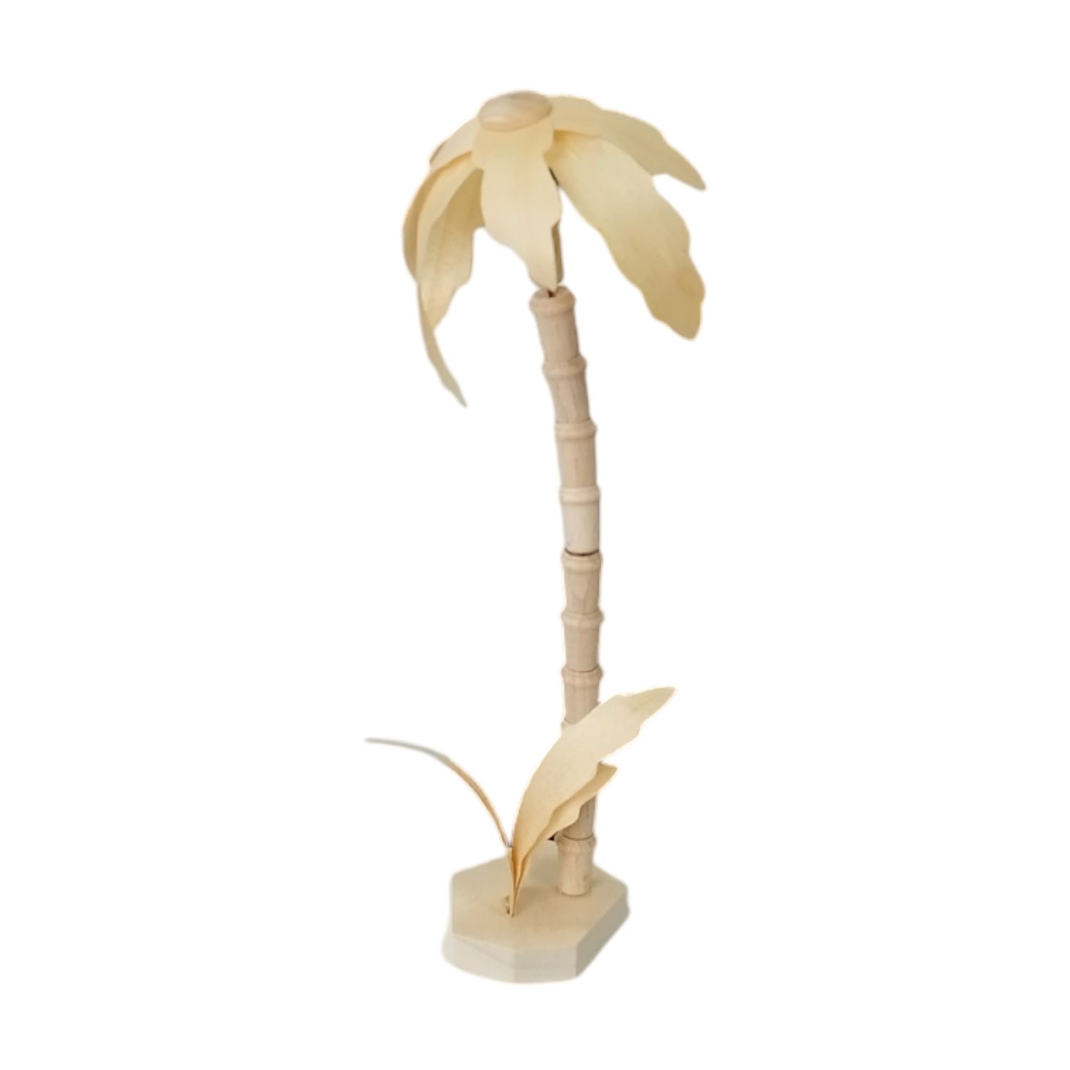 Palme Natur, 17cm
